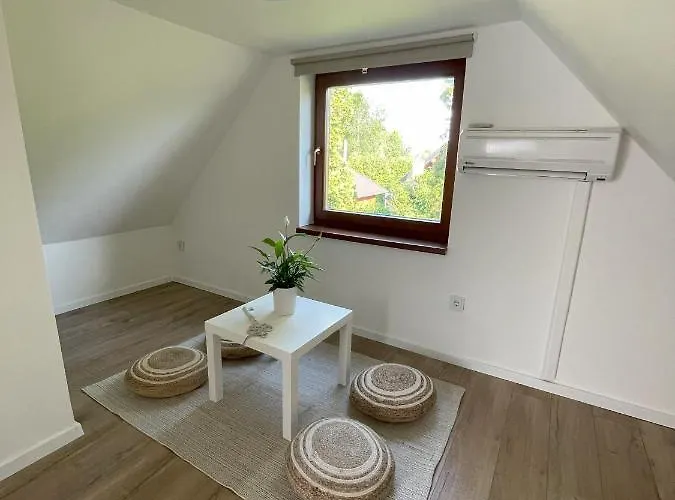 Mi Szel Hozott Tatil Evi