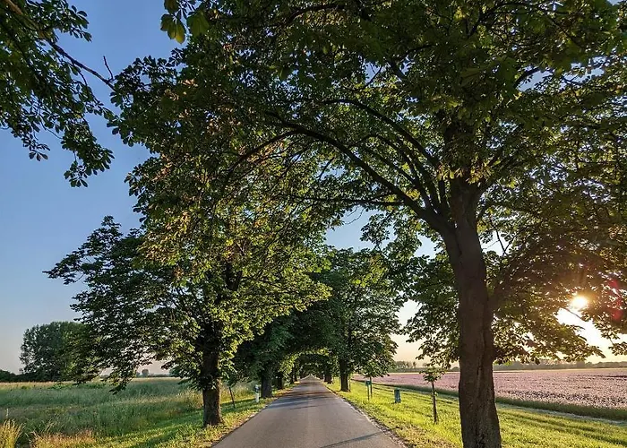 Mi Szél Hozott Hébergement de vacances